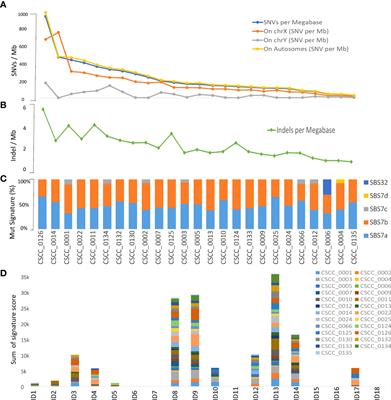 Whole genome analysis reveals the genomic complexity in metastatic cutaneous squamous cell carcinoma
